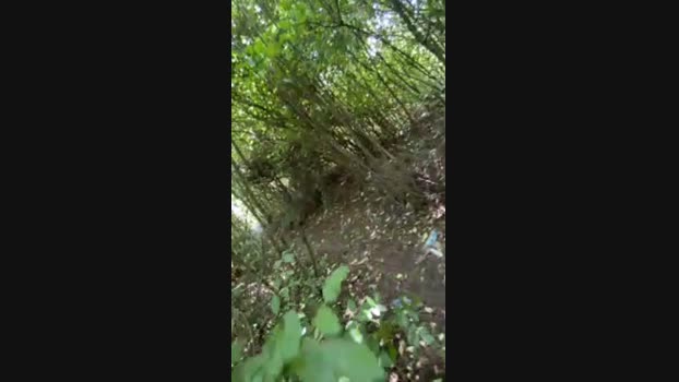 DaveBraun 19-07-2024 Recorded Video toys