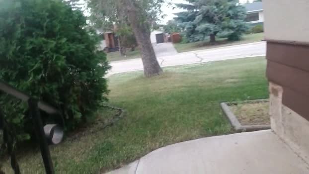 Harmon1 19-07-2024 Recorded Video amateur