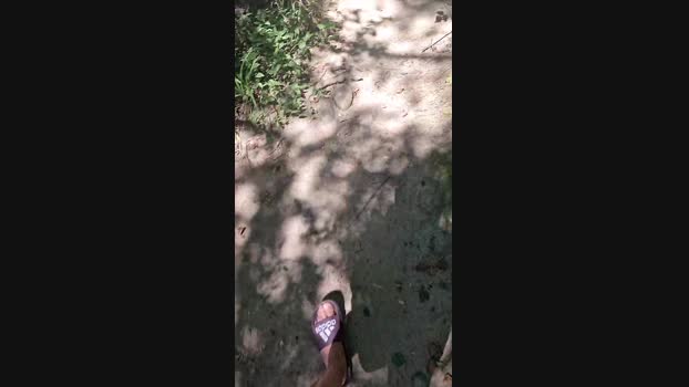 Nicolive2024 19-07-2024 Recorded Video jerking