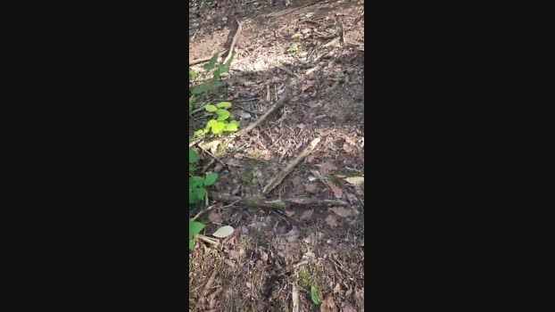 Outdoorgeil1 18-07-2024 Recorded Video suckcock