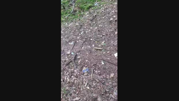 Outdoorgeil1 18-07-2024 Recorded Video Show