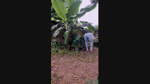 XoXocum4 18-07-2024 Recorded Video jerkoff