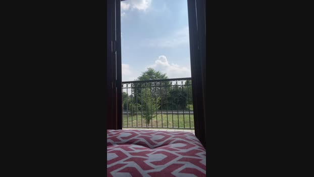 loomshab2 19-07-2024 Recorded Video play