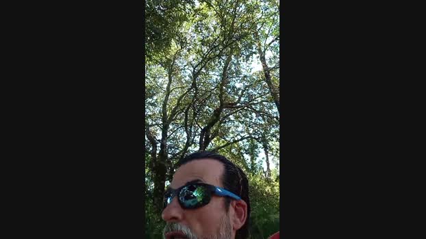 Gastea1 20-07-2024 Recorded Video kink