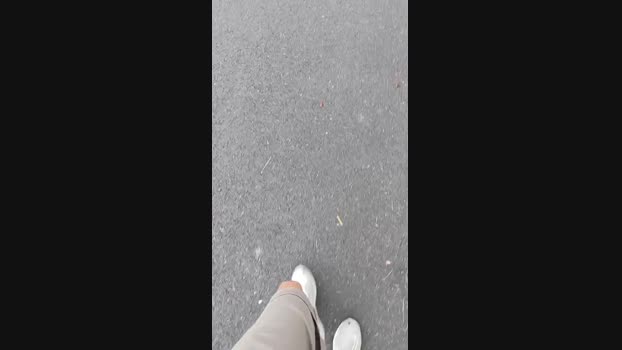 Rouelibre44_ 20-07-2024 Recorded Video strip