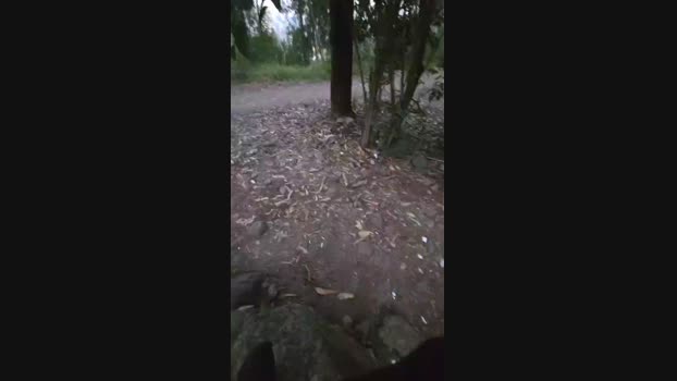 Everest91 20-07-2024 Recorded Video playtime