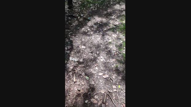 Outdoorgeil1 21-07-2024 Recorded Video fuckher