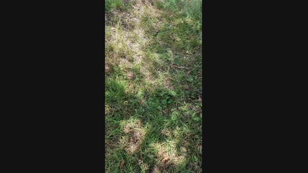 Outdoorgeil1 21-07-2024 Recorded Video orgasm