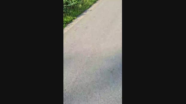 hornyboy4821 21-07-2024 Recorded Video cute