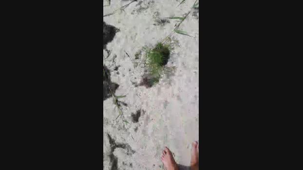 Zeigegeiler69 23-07-2024 Recorded Video handsome
