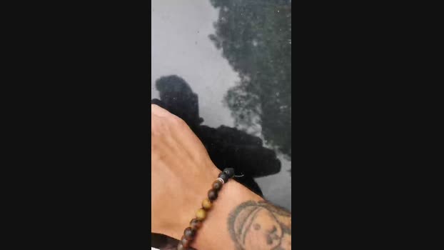 roultacam 23-07-2024 Recorded Video amateur