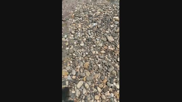 sempreilmio 24-07-2024 Recorded Video sweet