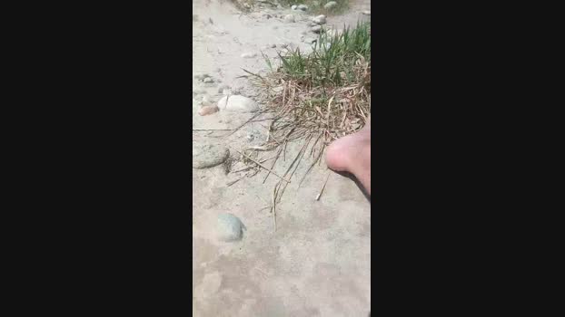 apem22 25-07-2024 Recorded Video legs