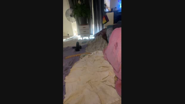HairyGuy06 26-07-2024 Recorded Video lick
