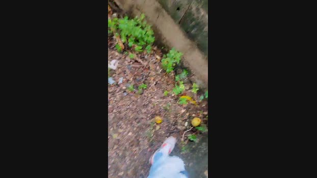 XoXocum4 27-07-2024 Recorded Video sexykitty