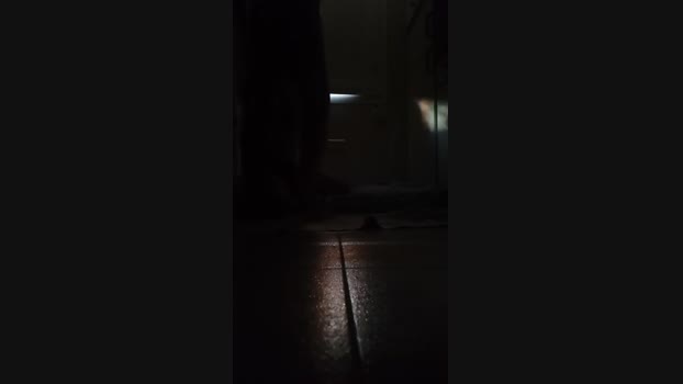leonardorierac1 27-07-2024 Recorded Video lovense