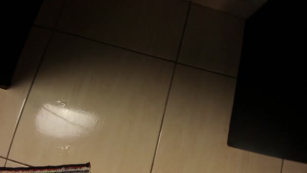 sexyflightz 26-07-2024 Recorded Video squirt