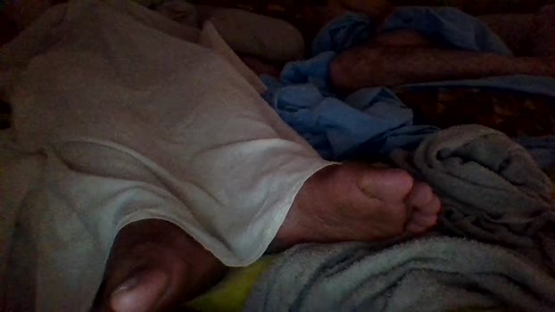 Canarito30 28-07-2024 Recorded Video ass