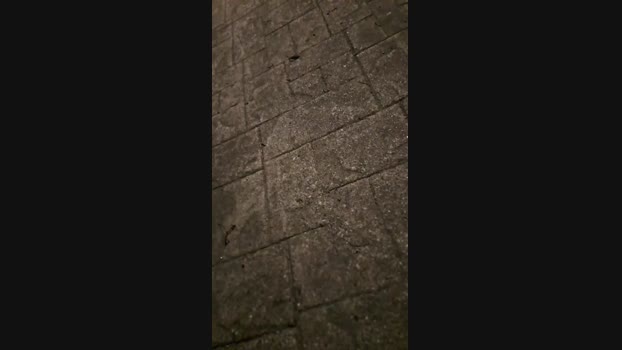 DamianPollonxD 28-07-2024 Recorded Video cute