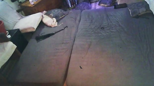 SchagenNH 28-07-2024 Recorded Video kissing