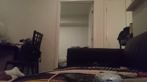 SuperManLA1 28-07-2024 Recorded Video naked