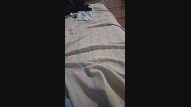 Vanluiz28 28-07-2024 Recorded Video toys