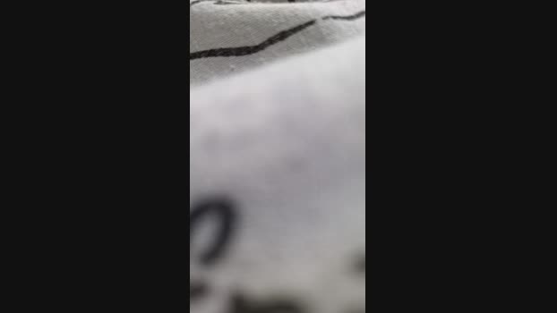 berlin111000 28-07-2024 Recorded Video big