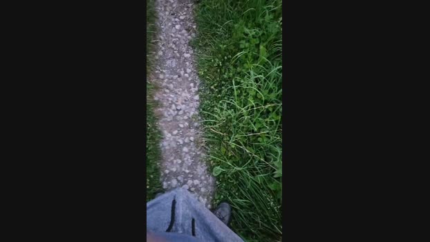 monsterlover 27-07-2024 Recorded Video Naked