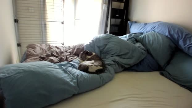 HuGo4K 28-07-2024 Recorded Video gag