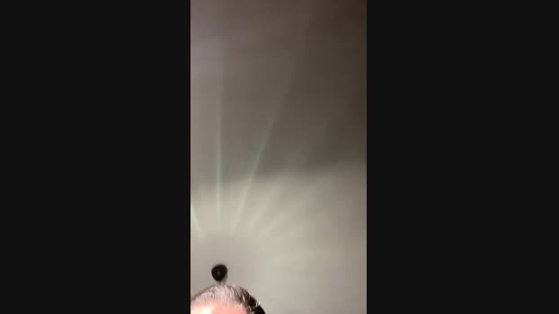 Pollon29_cm 29-07-2024 Recorded Video bigtoys