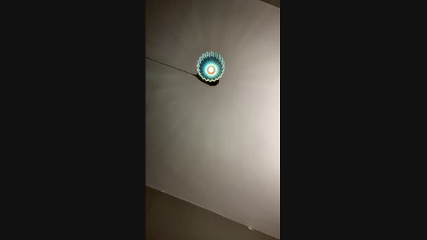 Pollon29_cm 29-07-2024 Recorded Video ass