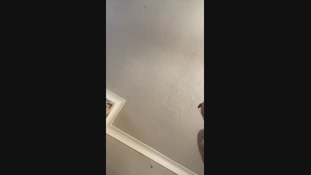 Spencerchase7 28-07-2024 Recorded Video Pretty