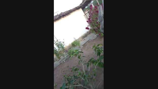 magrogostoso1 28-07-2024 Recorded Video bigload