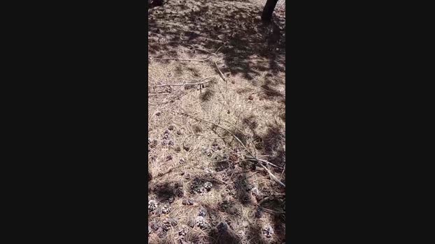 sikici20 29-07-2024 Recorded Video Naked