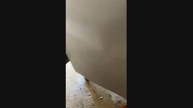 Chavales2 30-07-2024 Recorded Video harddick