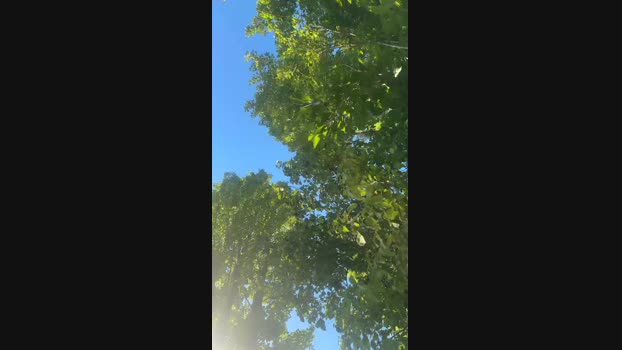 Mr_02_93 29-07-2024 Recorded Video sexy