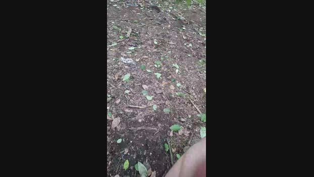 Outdoorgeil1 29-07-2024 Recorded Video wank