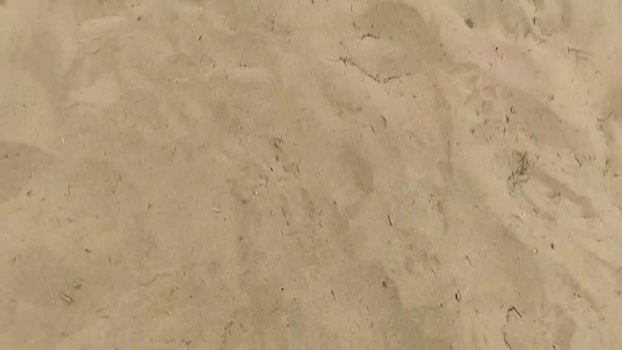 Pabloysebas 29-07-2024 Recorded Video juicy