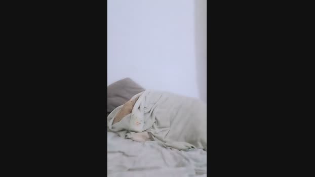 Paulhot18 30-07-2024 Recorded Video suckcock