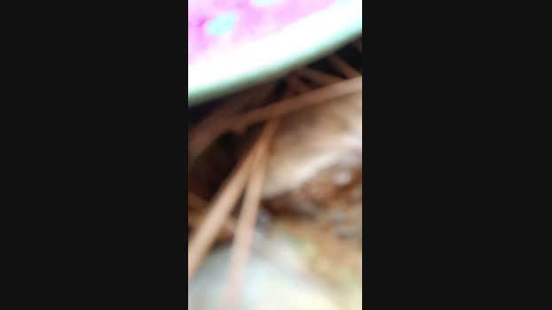 Top_man 30-07-2024 Recorded Video Porn