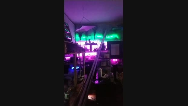 physicssexpert 29-07-2024 Recorded Video sexybody