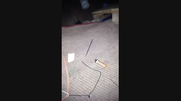 Flaite_19cm 31-07-2024 Recorded Video show