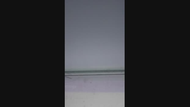 Ilikebbfun 31-07-2024 Recorded Video horny