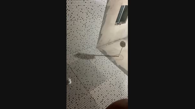Mlksafadoo19 31-07-2024 Recorded Video fuckme