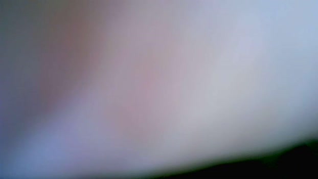tokuh 31-07-2024 Recorded Video bigballs