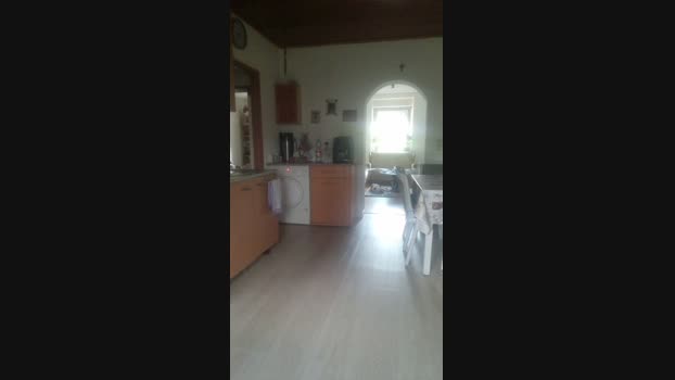 Doperman 31-07-2024 Recorded Video kink