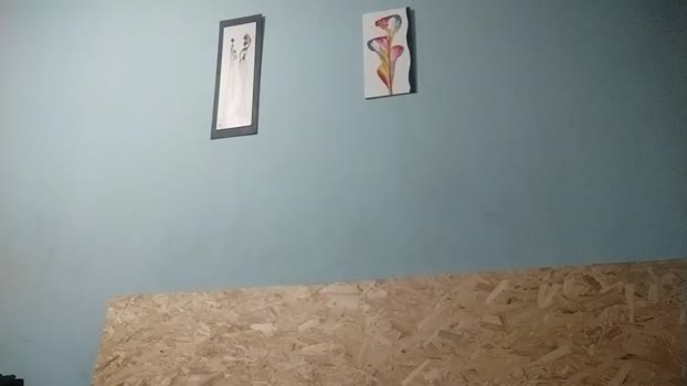 RegularGuyHN 01-08-2024 Recorded Video amateur