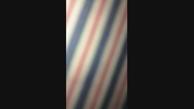 Vanluiz28 01-08-2024 Recorded Video fuckher