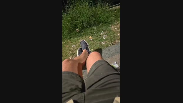 pollen_07 31-07-2024 Recorded Video sweet