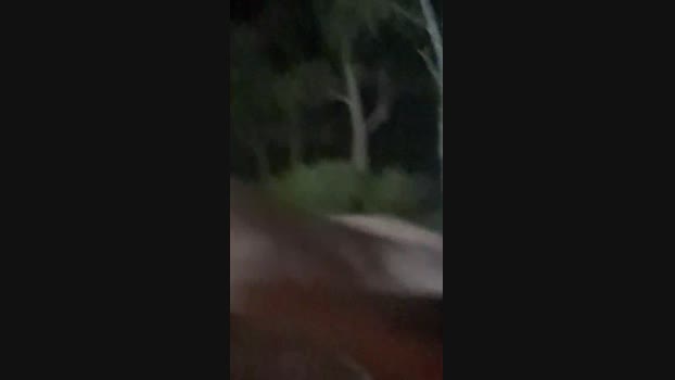 toramaruuuu 31-07-2024 Recorded Video amateur